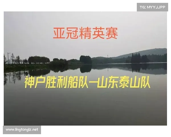 山东赛事 精英赛_山东竞赛水平怎么样