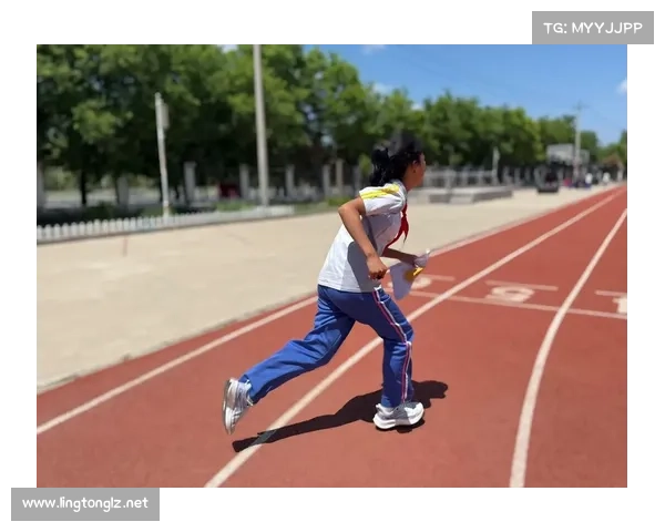 定向运动包括了 定向运动包括了