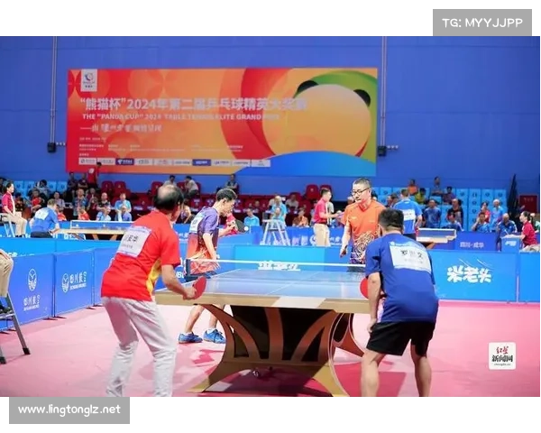 熊猫杯是什么赛事-熊猫杯2019