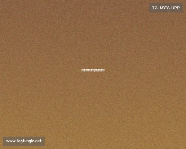 电子竞技 顺网科技;顺网科技年会 电子竞技 顺网科技;顺网科技年会